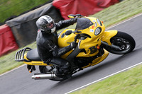 Fowlers 0455