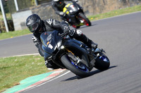 BIKES 0738