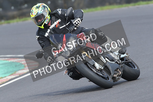 BIKES 0597
