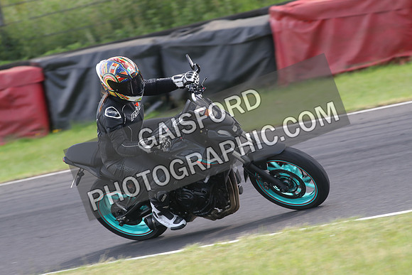 BIKES 1335