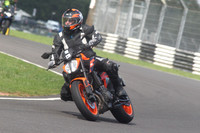 BIKES 1520