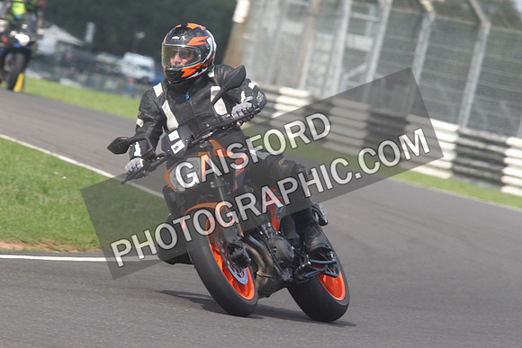 BIKES 1520