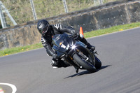 BIKES 0737