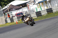 Fowlers 0471