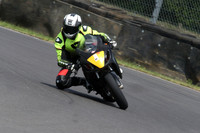 Fowlers 0774