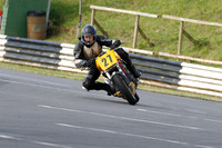 Fowlers 0045