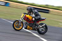 Fowlers 0017