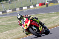 Fowlers 0335
