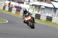 Fowlers 0333