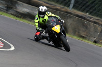 Fowlers 0773