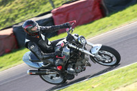 BIKES 1813