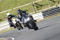 Fowlers 0095