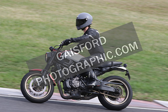 BIKES 2377
