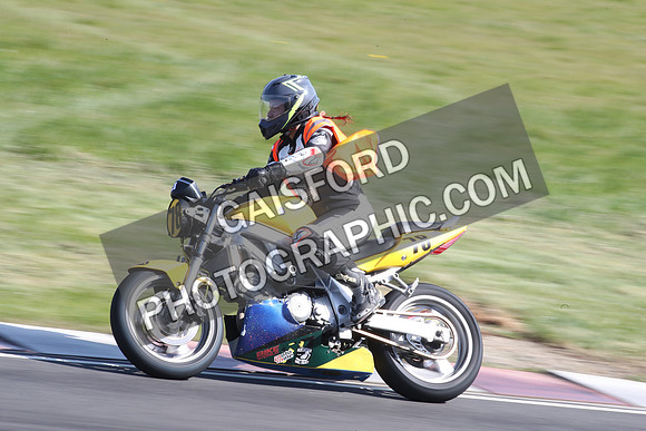 BIKES 2130
