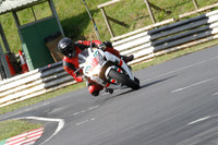 Fowlers 0166