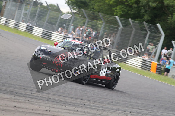 JDM 2013