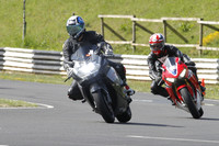 Fowlers 0287