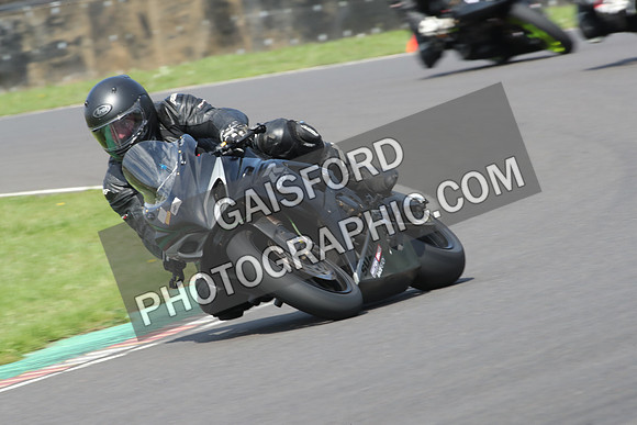 BIKES 0681
