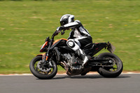 CC BIKE TD 1016