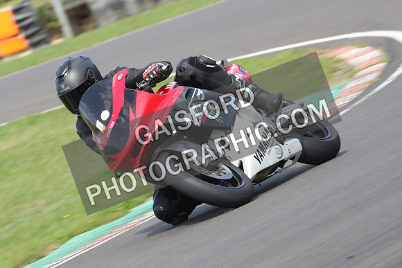 BIKES 0533