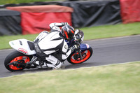 BIKES 1129