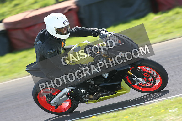 BIKES 1715