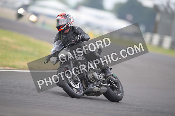BIKES 1229