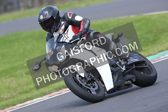 BIKES 0874