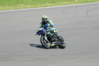 BIKES 1239
