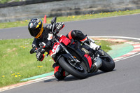 Fowlers 0597