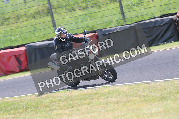BIKES 1528