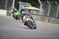 BIKES 0030