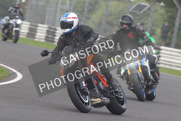 BIKES 1563