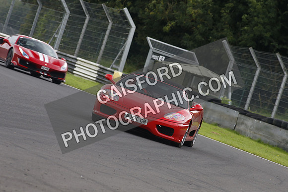 Ferrari combe 0677