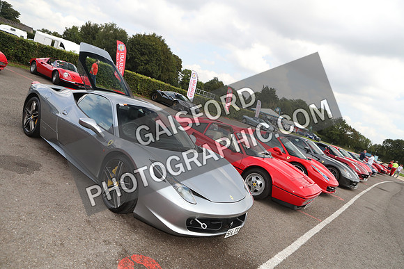 Ferrari Combe 0080