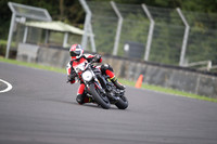 BIKES 1460