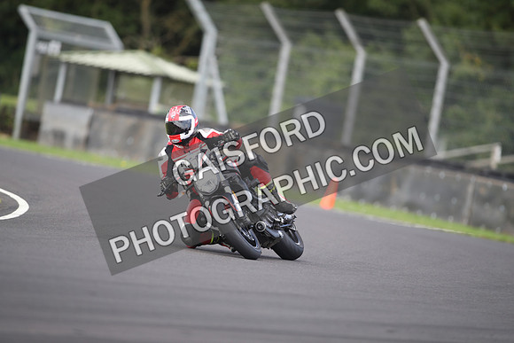 BIKES 1460