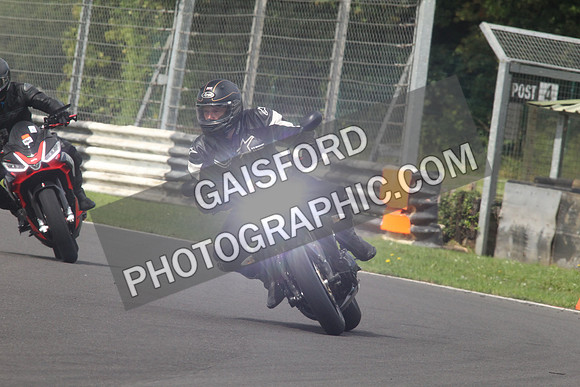 BIKES 1601