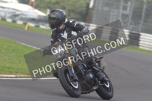 BIKES 1535