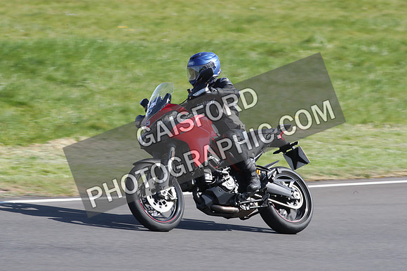 BIKES 2113
