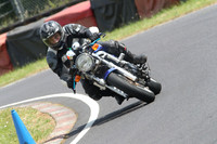 Fowlers 1501