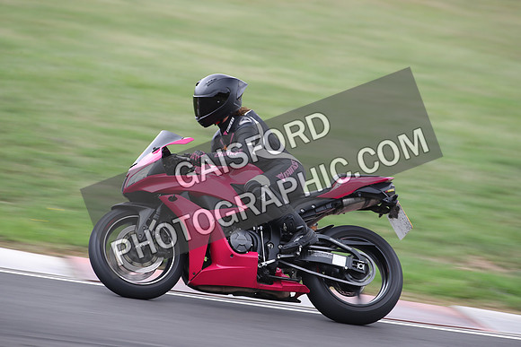 BIKES 1569