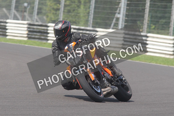 BIKES 1511