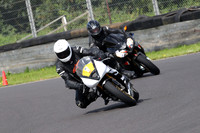 Fowlers 0965