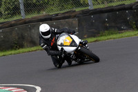 Fowlers 0993