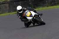 Fowlers 0994