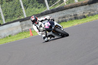 Fowlers 0518