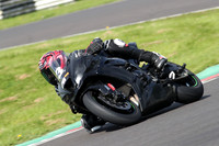 Fowlers 0498
