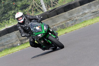 Fowlers 0569