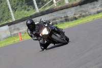 Fowlers 0494